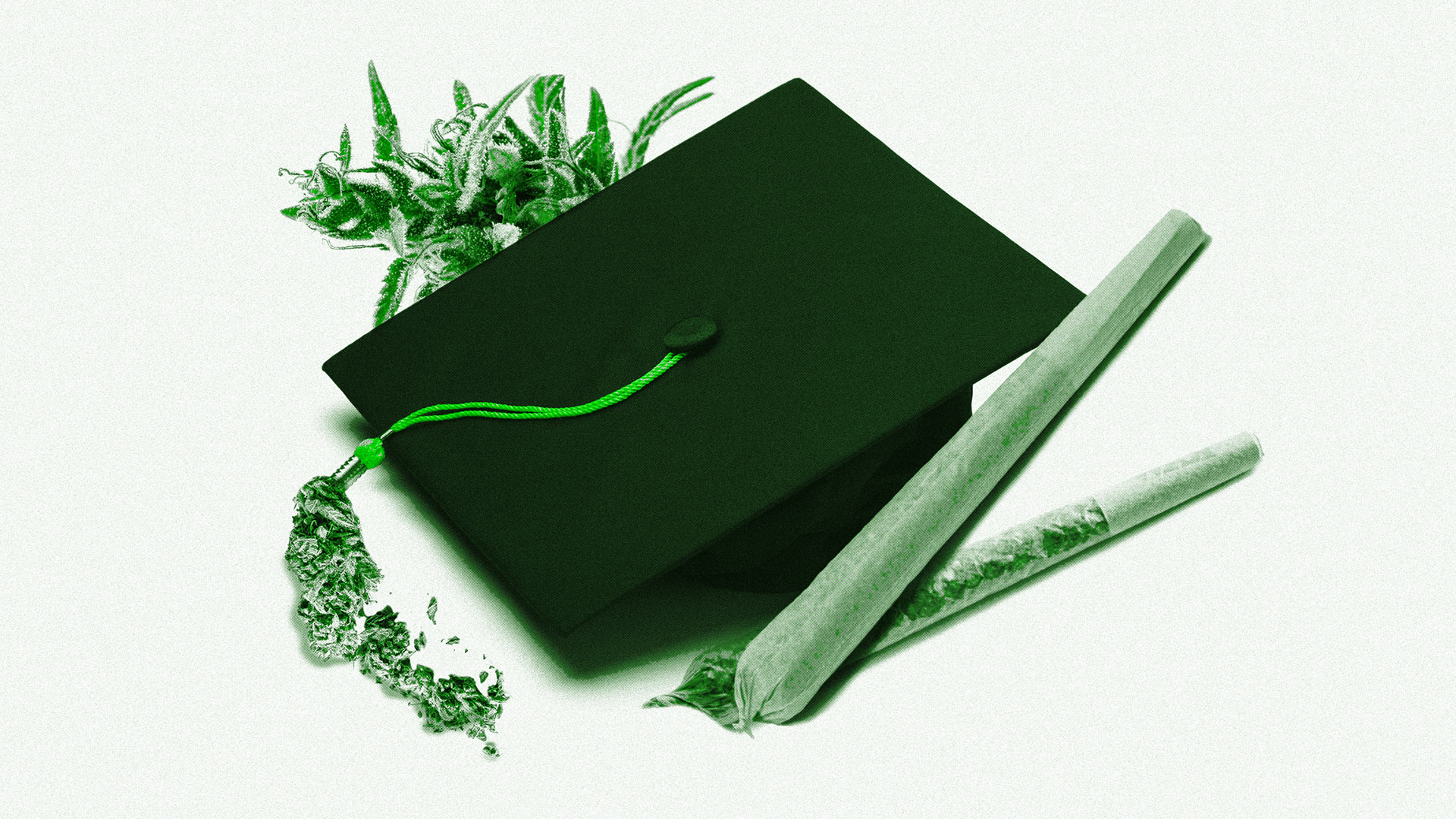 First-Ever Cannabis Degree Program Signals Sea Change