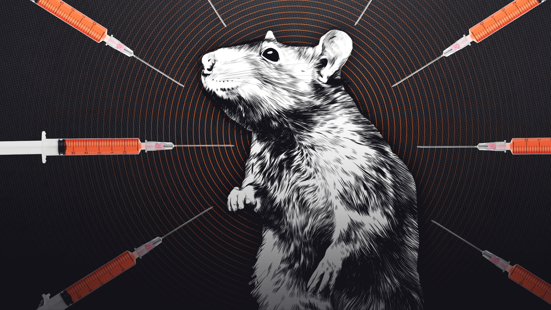 how the flawed rat park experiment launched the drug war