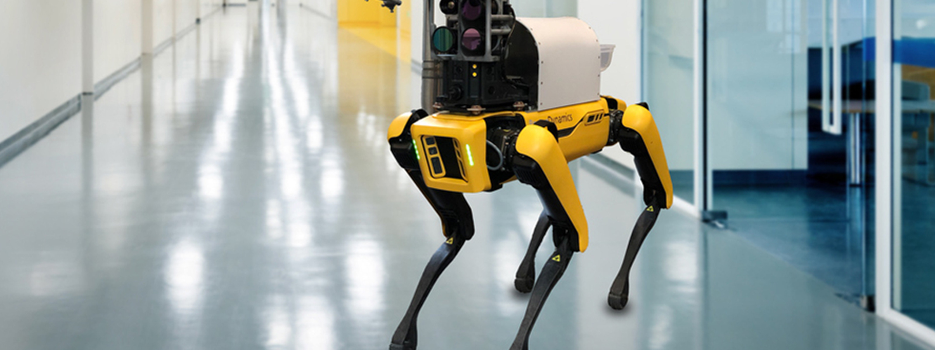 Mit sales dog robot