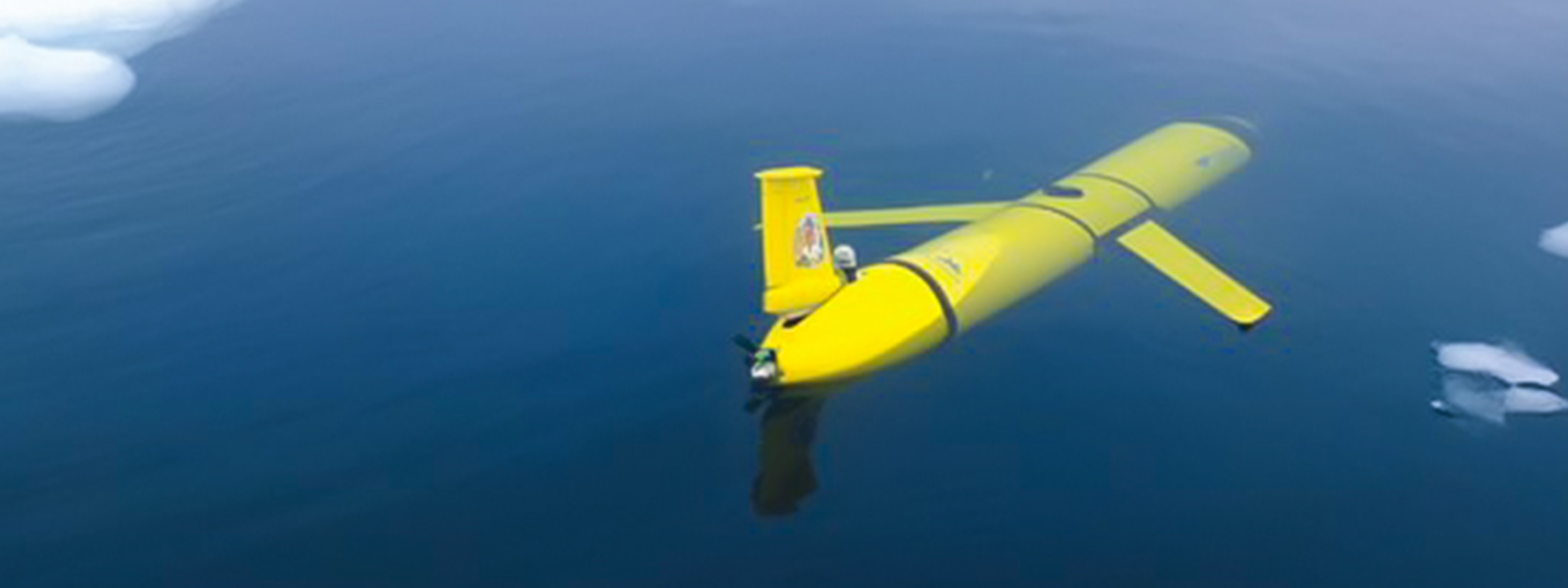 stingray underwater glider