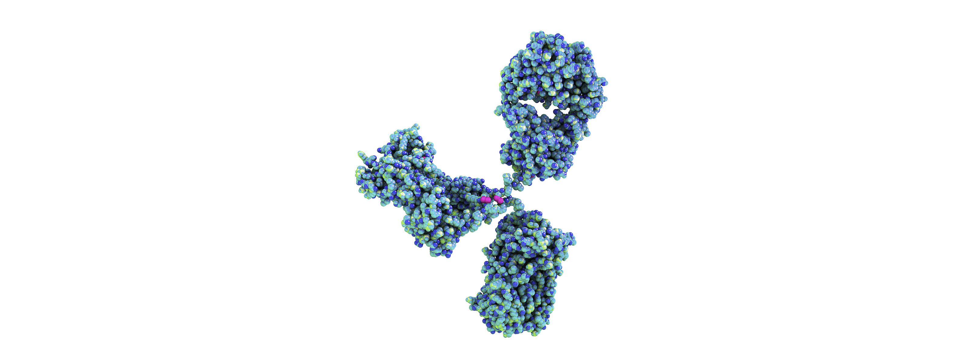 New Antibodies May Lead To A Norovirus Vaccine   Norovirus Vaccine Feature 