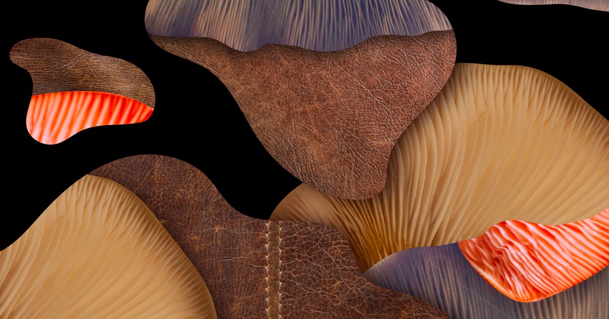 Mushroom leather changes the future of the leather market