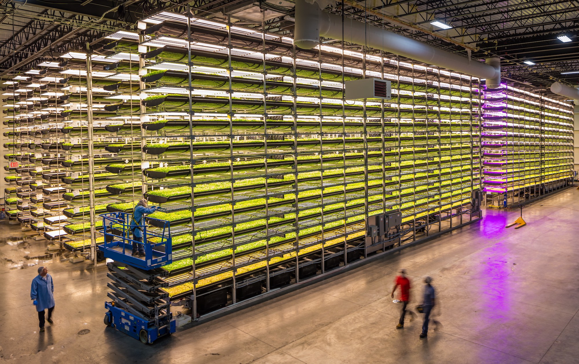 innovative-vertical-farming-companies-to-watch