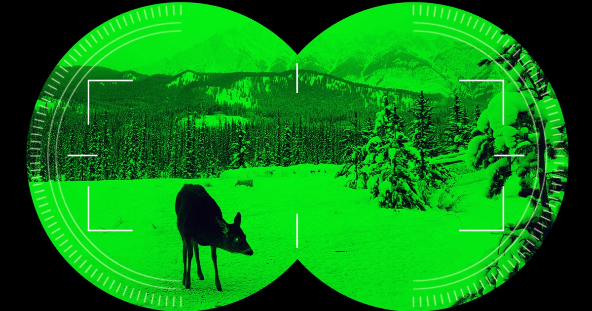 Here’s what fullcolor night vision looks like now