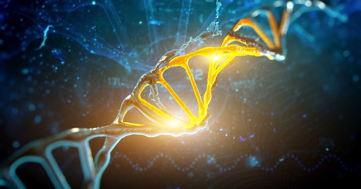 Genetic study finds evidence that we're still evolving
