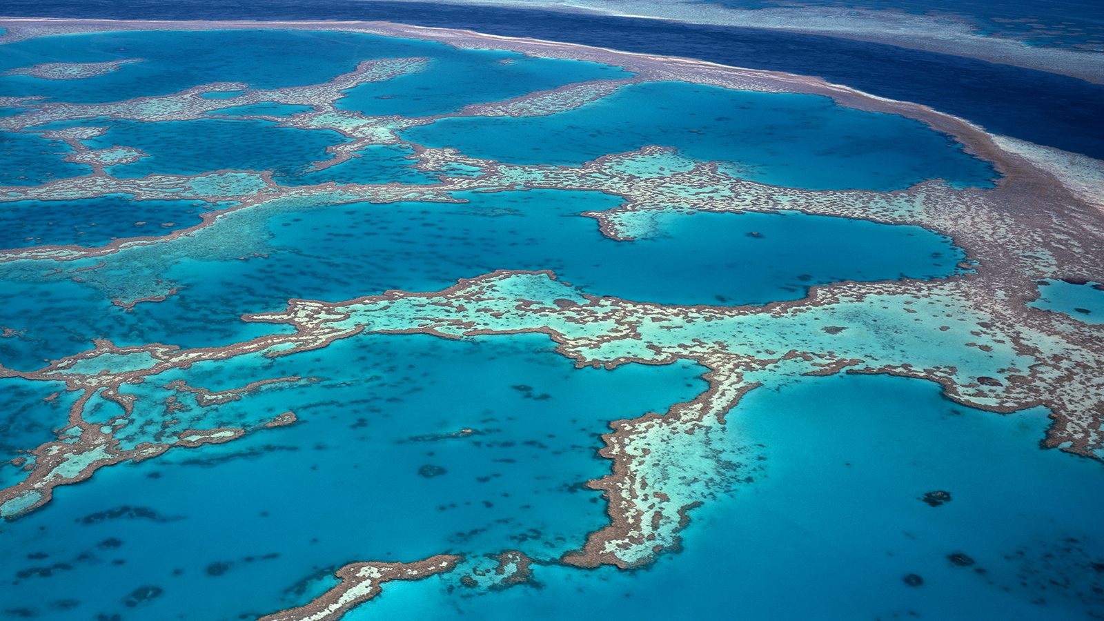 2023 report on Great Barrier Reef "The story is more complicated than