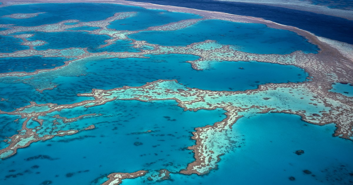 2023 report on Great Barrier Reef: 