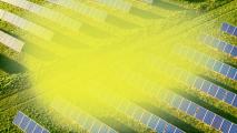 Aerial view of solar panels arranged in rows on green grass, partially obscured by a yellowish haze.