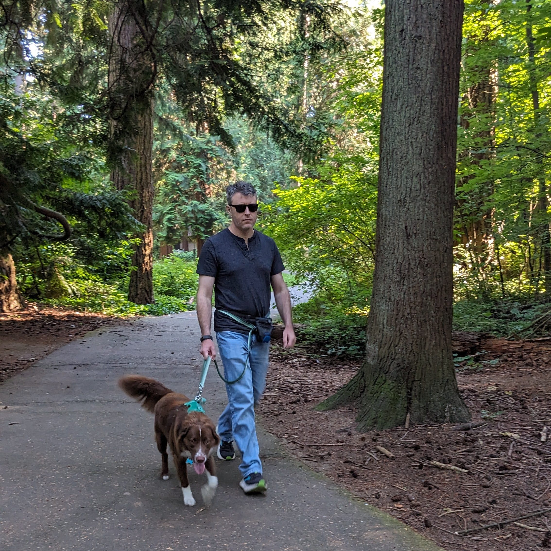 A man wearing sunglasses walks his dog on a leash along a forest path.