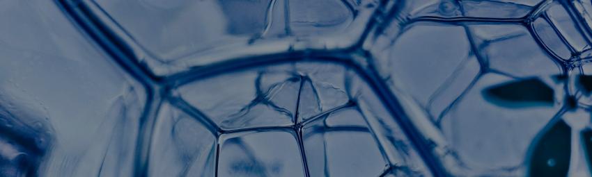 Close-up image of an intricate, frosty pattern on a glass surface, with a blue hue and varying shapes formed by the frost crystals.