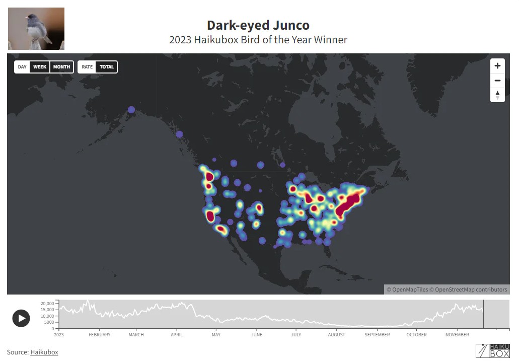 Map showing the distribution of the Dark-eyed Junco across North America, with color-coded heat spots indicating sightings, and a timeline graph of observations in 2023 at the bottom.