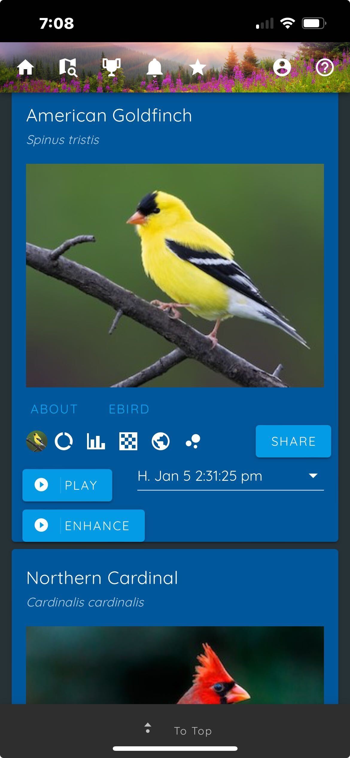 App screen displaying two bird images: an American Goldfinch perched on a branch, and a Northern Cardinal below.