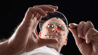 A person meticulously examines microplastics and other small objects on a petri dish using tweezers, viewed from below against a black background.