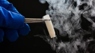 A gloved hand holds a metallic object emitting smoke against a dark background, suggesting the mysterious allure of cryopreservation.